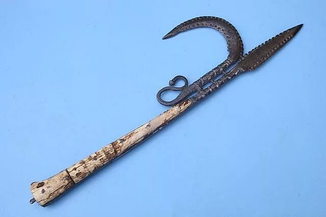 анкус погонщика слона. королевский анкас. ослик идет за морковкой. анкус погонщика слона. ослик с морковкой перед носом.