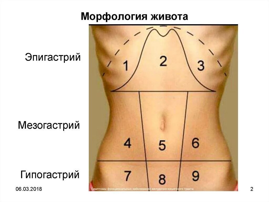 Подложечная область живота