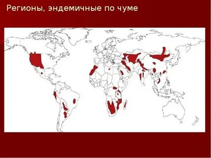 Заболеваемость чумы