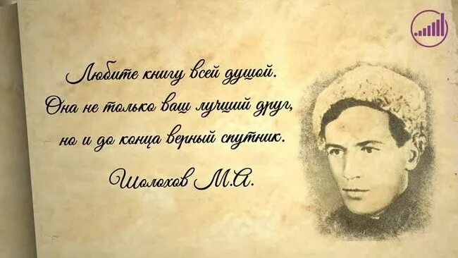 Что такое цитата в литературе. Высказывания писателей. Высказывания великих русских поэтов. Высказывания о литературе. Читать про писателей