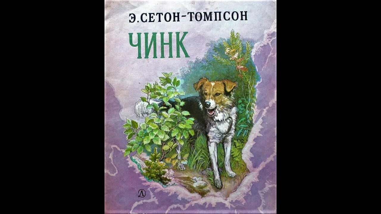 Чинк читать. Э Сетон Томпсон Чинк. Сетон-Томпсон книги Чинк. Чинк Сетон-Томпсон иллюстрации.