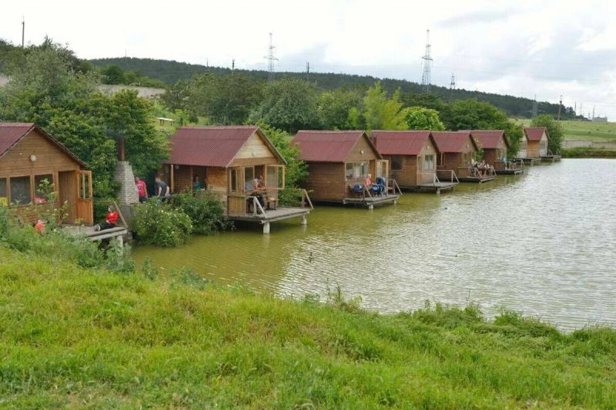 Платная рыбалка в крыму. Денисовская страусиная ферма Симферополь. Денисовка Симферопольский район страусиная ферма. Страусиная ферма Симферополь. Денисовская страусиная ферма в Крыму.