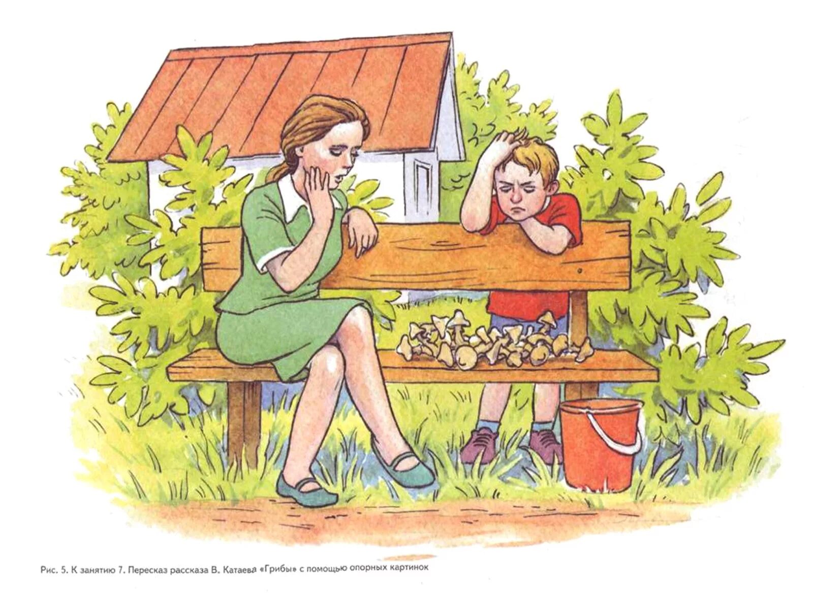 Сюжетные картинки. Катаев грибы. Иллюстрации к рассказу Катаева грибы. Катаев грибы иллюстрации. По грибы Катаев.