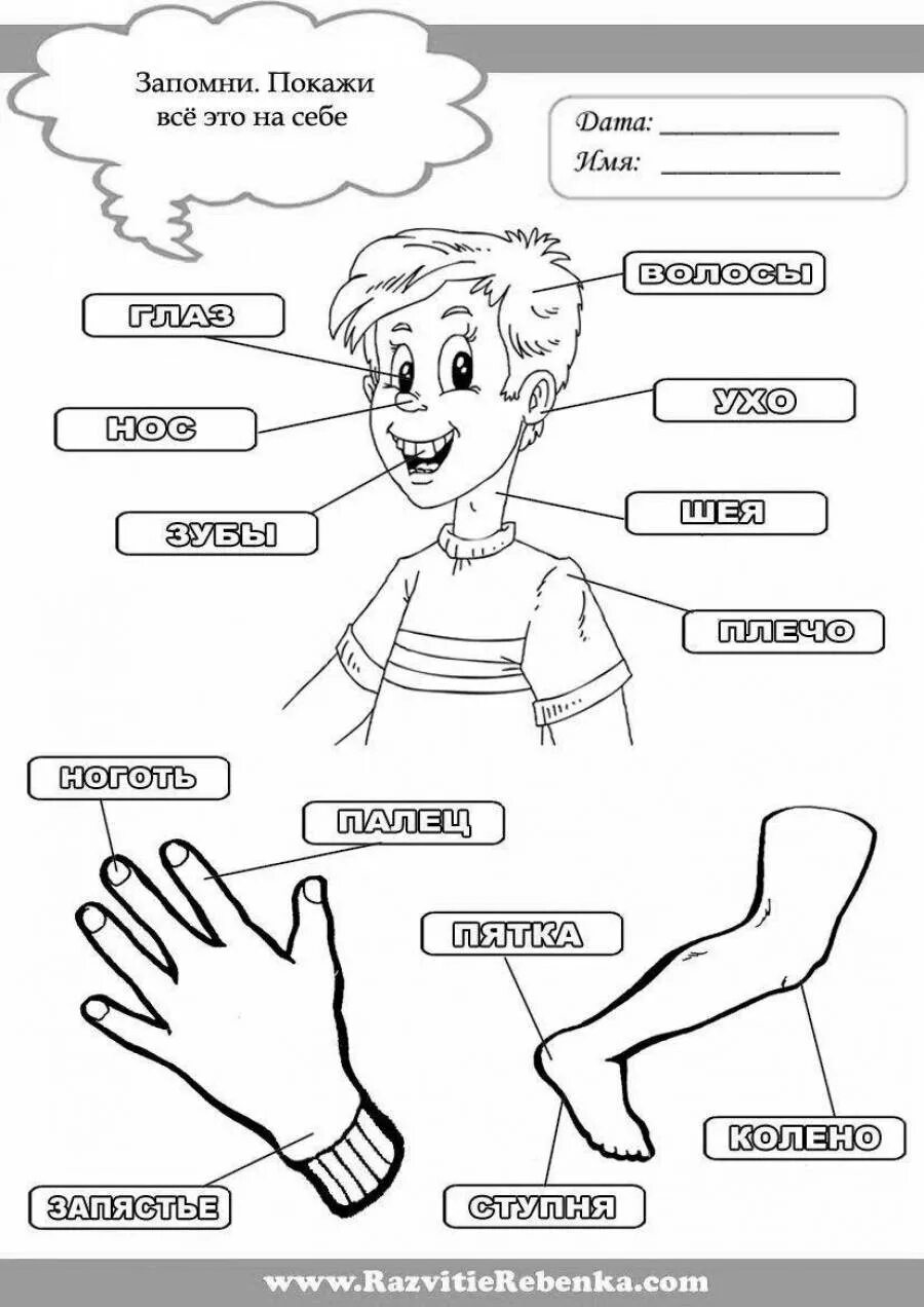 Михалков рабочий лист 2 класс. "стихи для детей". Кроссворд по произведениям сергея михалкова. Рабочие листы разговоры о важном 2 класс. Рабочий лист михалков если.