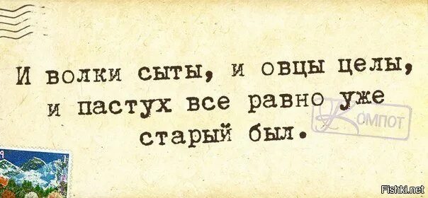 Пословица волки сыты овцы целы. Овцы были целы и волки сыты. Поговорка и волки сыты и овцы целы. И волки сыты и овцы целы прикол. Пословицы волки сыты и.