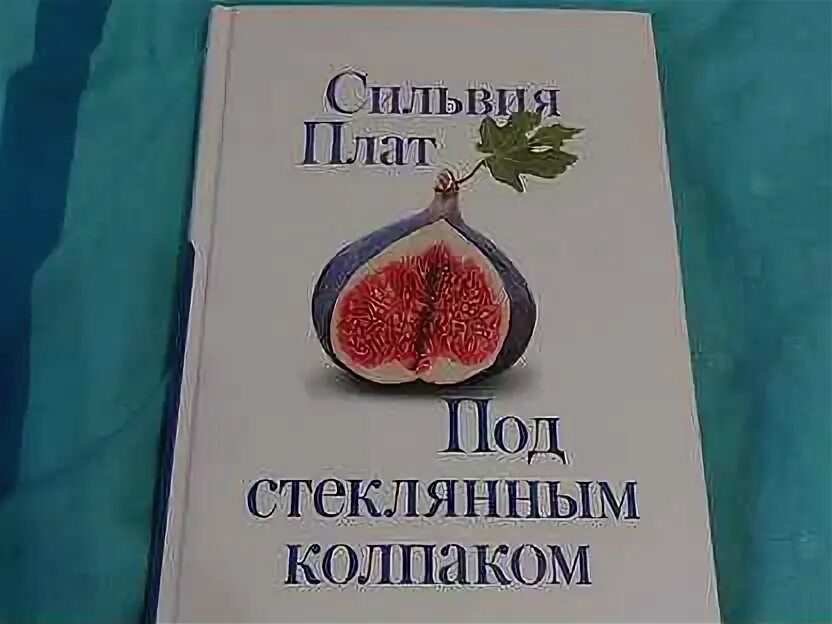 Под стеклянным колпаком читать. Под стеклянным колпаком книга.
