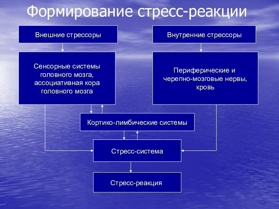 Причины развития стресса. Стресс система патофизиология. Формирование стресс реакции. Стадии стресса патофизиология. Стадии и механизмы развития стресса патофизиология.