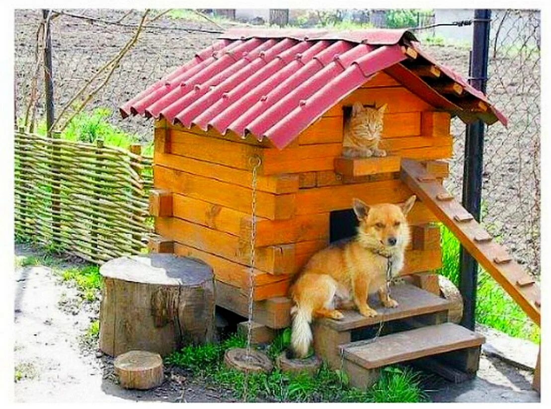 Снять дом с животными