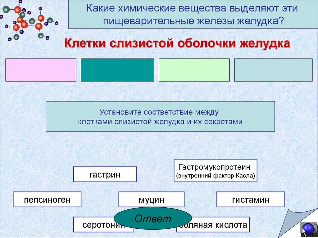 Какие вещества участвуют в транспорте веществ. Какие вещества выделяются. Кишечные железы выделяемое вещество. Какие вещества выделяет желудок.