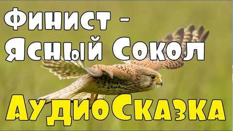 Финист ясный сокол слушать