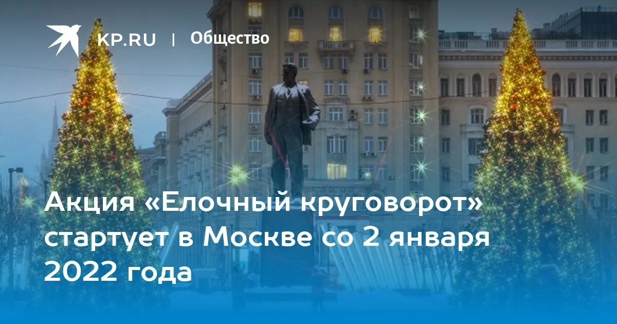 Переработка елок. Елочный круговорот 2024. Елочный круговорот 2022. "баннер елочный круговорот". Елочный круговорот.