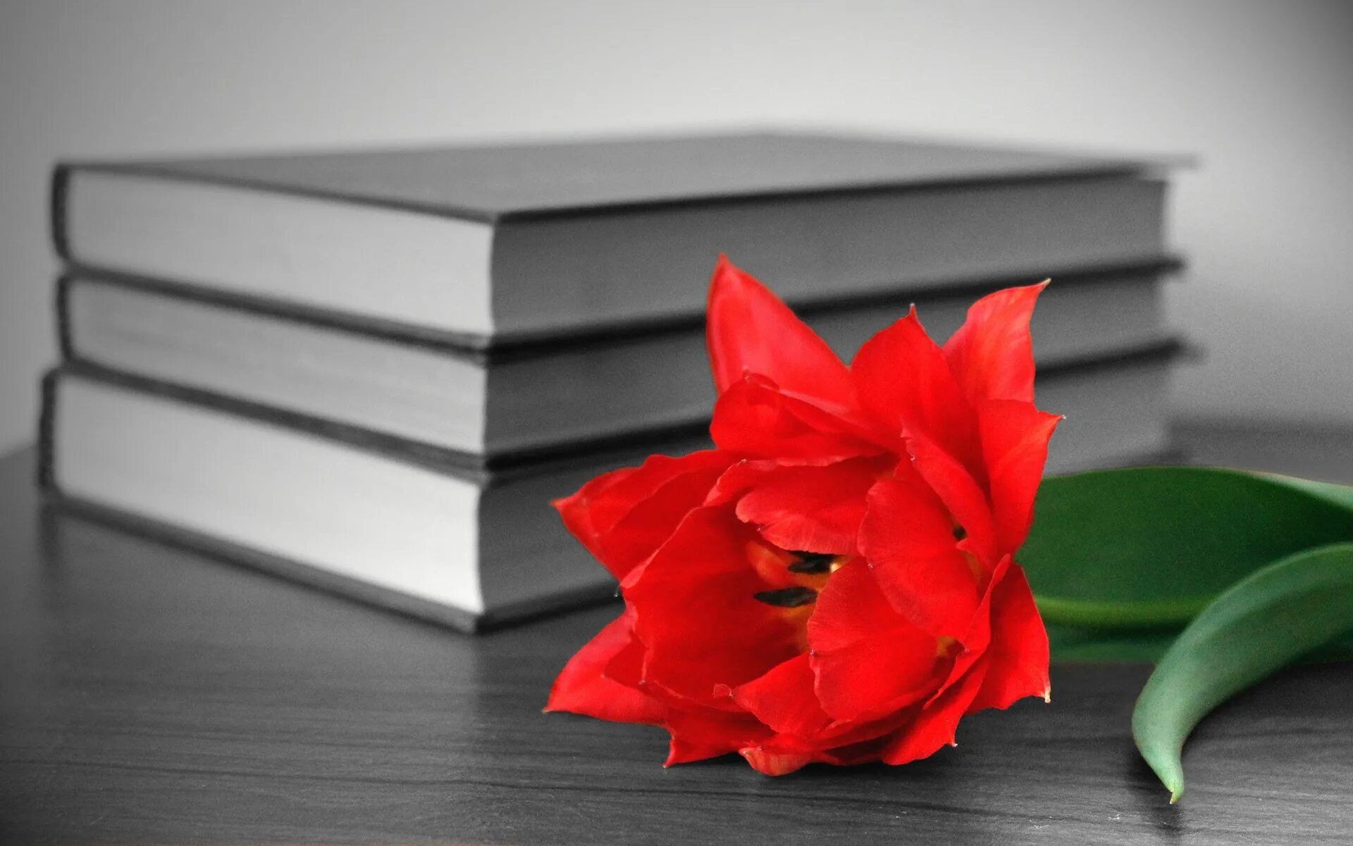 Красивая раскрытая. Книга цветы. Книга с цветами. Книжный цветок. Обои на рабочий стол книги и цветы.