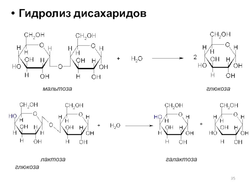 Глюкоза вступает в гидролиз. Реакция гидролиза лактозы. При гидролизе лактозы образуются. Гидролиз Альфа лактозы. Гидролиз дисахаридов лактозы.