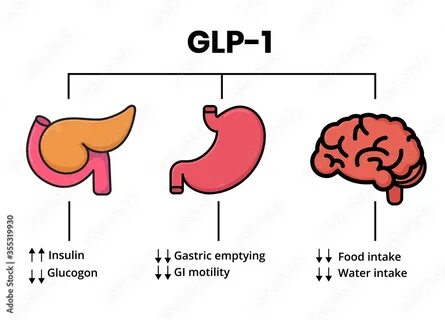 Пептида glp 1