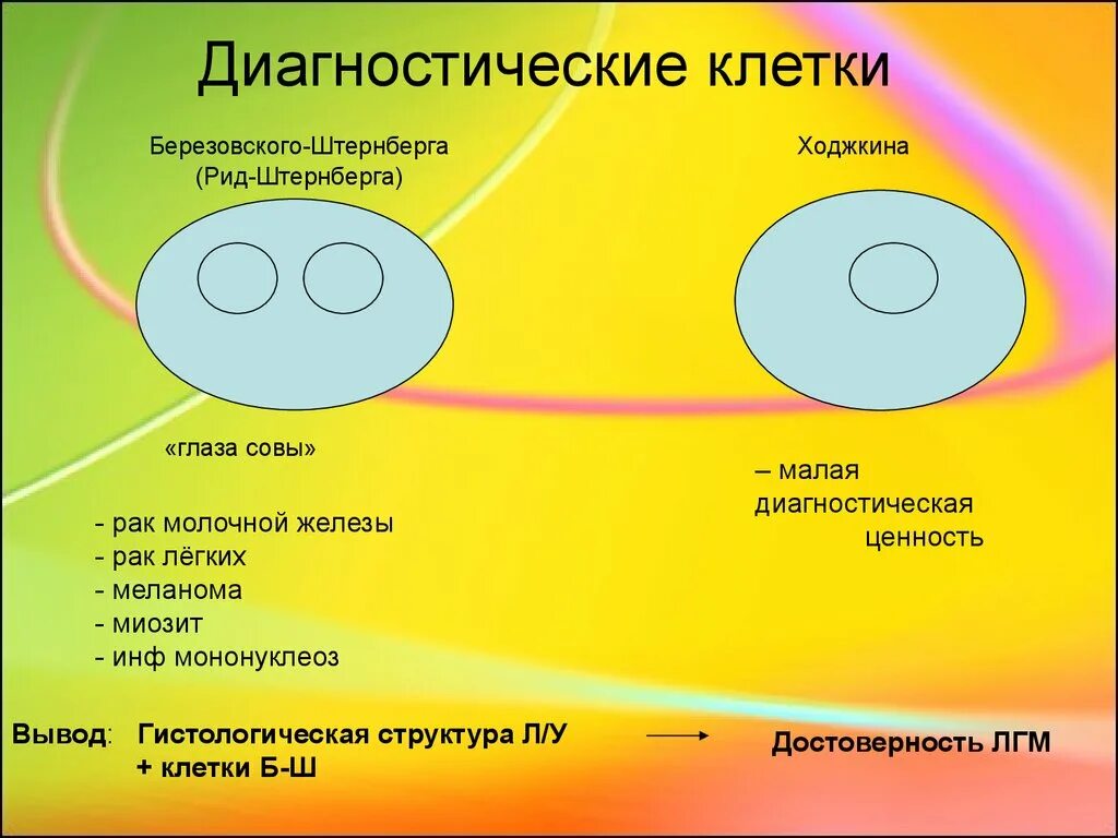 Клетки рида. Клетки Рид-Березовского-Штернберга. Клетки Березовский Штернберг. Клетки Березовского Штерн.