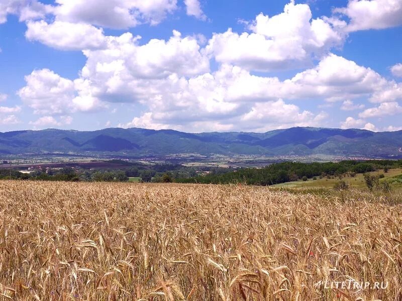 фрушка гора сербия. сербия пейзажи. сербия поля. дебели луг сербия. воеводина поля.