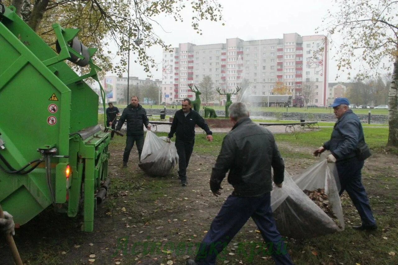 Работа в осиповичах свежие. Субботник в Беларуси в 2021. Беларусь Республиканский субботник. Субботники 2022 в Беларуси. ЖКХ Осиповичи.