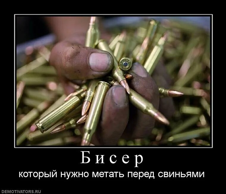 Метать бисер перед свиньями синоним. Патрон прикол. патроны есть еда найдётся. не мечите бисер перед свиньями. демотиватор.