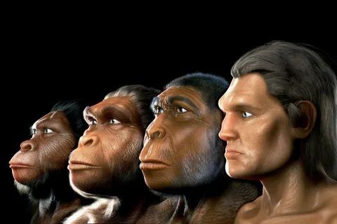 Эволюция картинка от обезьяны.