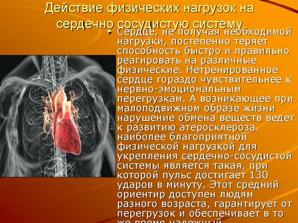 Действие нагрузки. Влияние физической нагрузки на сердечно-сосудистую систему. Нагрузка на сердечно-сосудистую систему. Влияние физических нагрузок на сердце. Влияние физ нагрузок на сердечно-сосудистую систему.