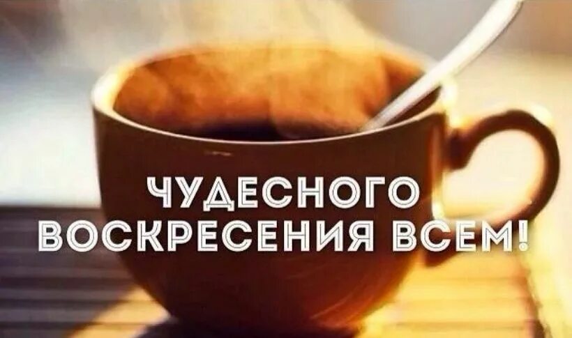 Утро воскресенья. Хорошего воскресенья прикольные. Воскресенье цитаты. Воскресенье картинки прикольные. Воскресение афоризмы