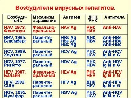 Основные возбудители вирусных гепатитов
