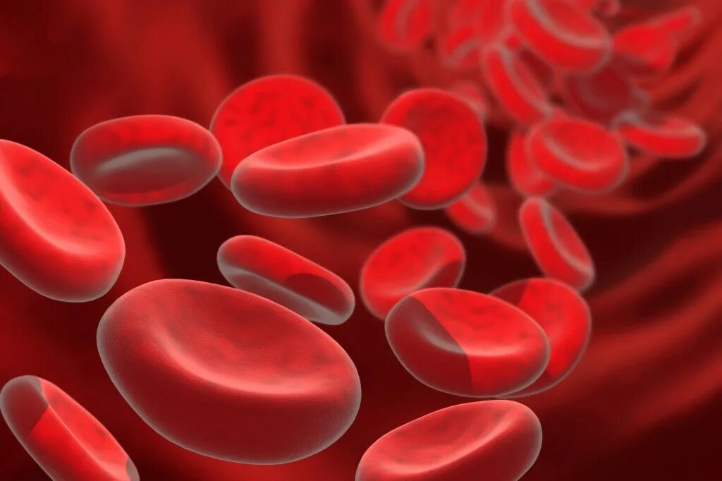 Гемоглобин. Клетки крови. Красные кровяные клетки.