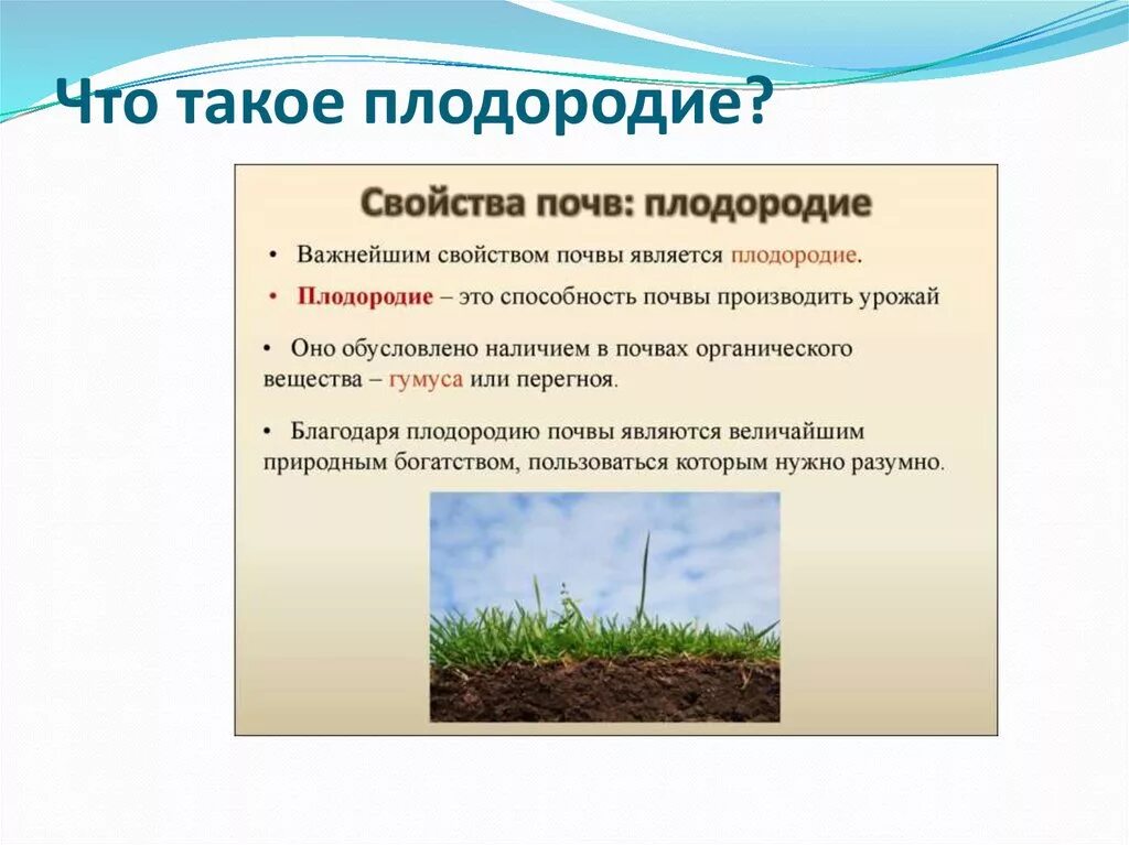 Плодородие почвы. Почва плодородие почвы. Охарактеризуйте плодородие почвы. Ччтоттакое пладородие.