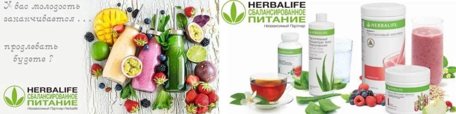 Гербалайф продукция 2023. Продуктовая линейка Гербалайф. Herbalife сбалансированное питание. Баннеры Herbalife. Mydelivery shop гербалайф казахстан личный