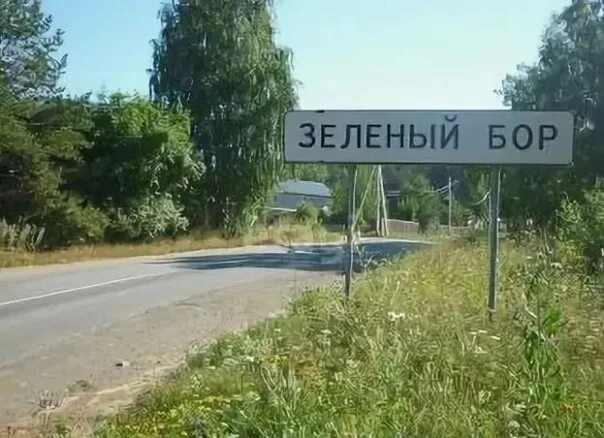 Зеленый бор верхняя пышма