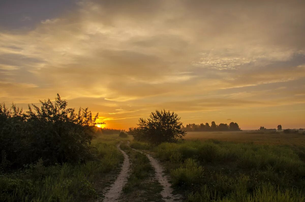утро тихо золотится в лучах летнего солнца гладь реки. золотилось солнце на востоке за тума. золотилось солнце на востоке за тума. я гоняюсь за туманом за туманом. солнечный восточный.