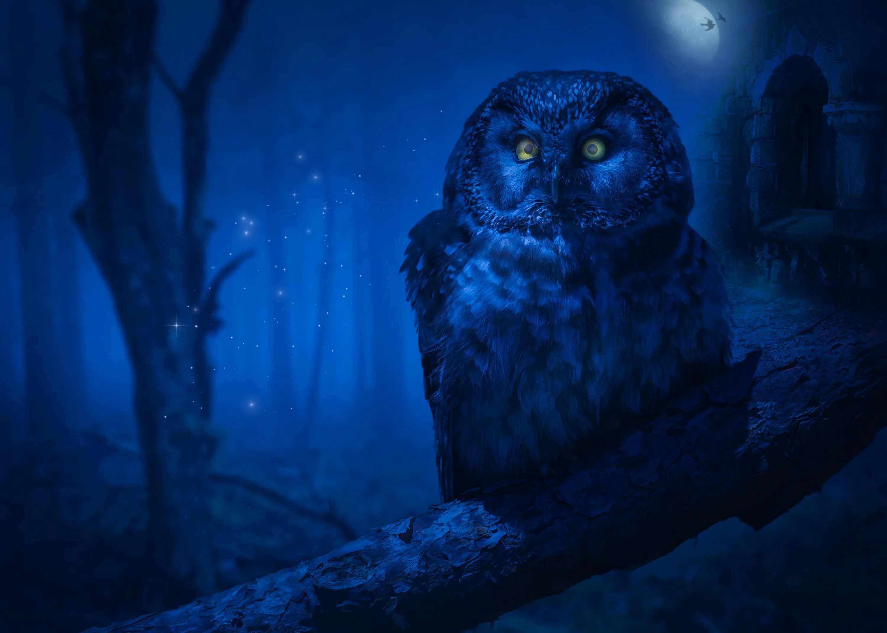 Какие звуки издает сова ночью. Ночная сова.(night owl).1993. сова. синяя сова. филин ночью.
