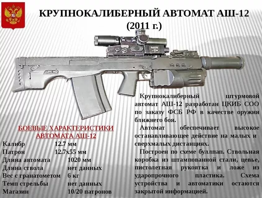 Автомат 12 калибра. АК-12 автомат Калибр. Аш-12 штурмовой автомат калибра 12.7. Штурмовой автомат Шак-12.