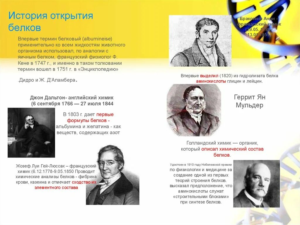 История исследования белков. История открытия белка. История открытия белков. История белков. История открытия белков.