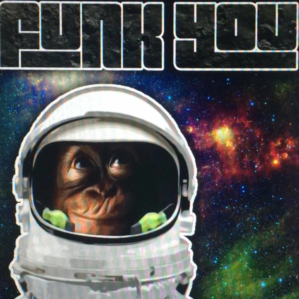 Album Art Space Monkey. Monkey Space DJ фото. Space Monkey program. Space monkey