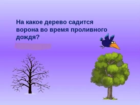 На дереве сидело 20 птиц. На какое дерево садится ворона во время дождя загадка ответ. На какое дерево садится ворона во время проливного дождя загадка. Какое дерево ворона во время дождя. Загадка про ворон и деревья.