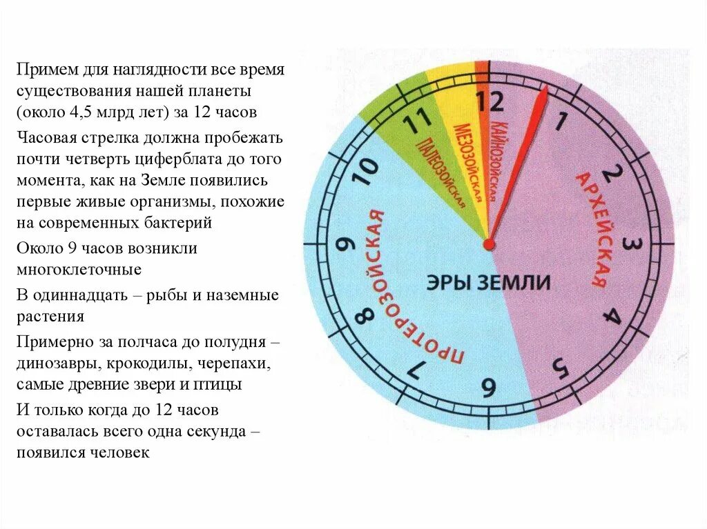 История земли в часах. История земли на циферблате. История развития земли за 24 часа. История человечества в виде часов.