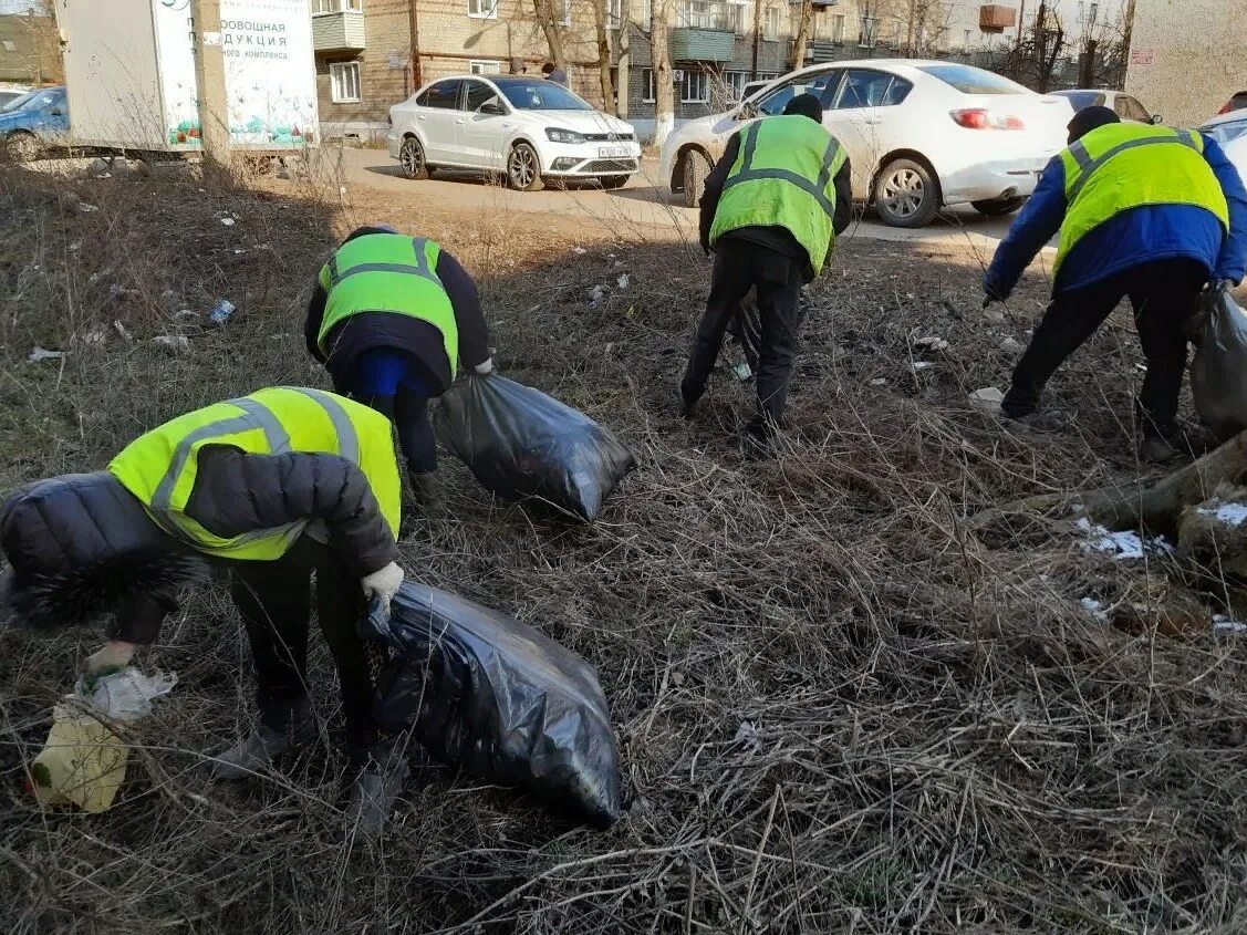 Зеленхоз Мичуринск. Озеленение города Мичуринск. Мичуринск экология. МБУ РГО «благоустройство». Мичуринск прогноз 3