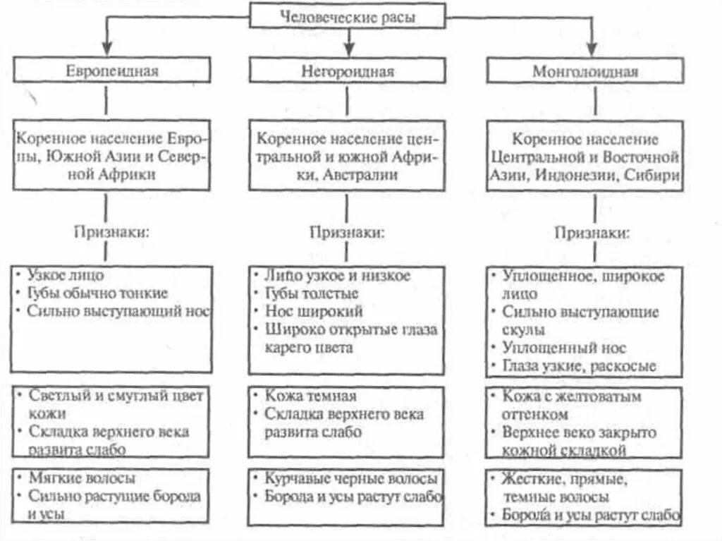 Расы человека таблица 8 класс биология. Таблица по биологии человеческие расы 11 класс. Таблица по биологии расы человека 11 класс. Таблица расы человека 8 класс таблица биология.