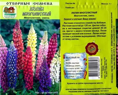Люпин значение слова