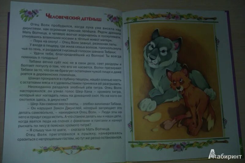 Маугли читать сколько страниц в книге. Характеристика мать волчицы из маугли. маугли 3 класс характеристика отец волк.