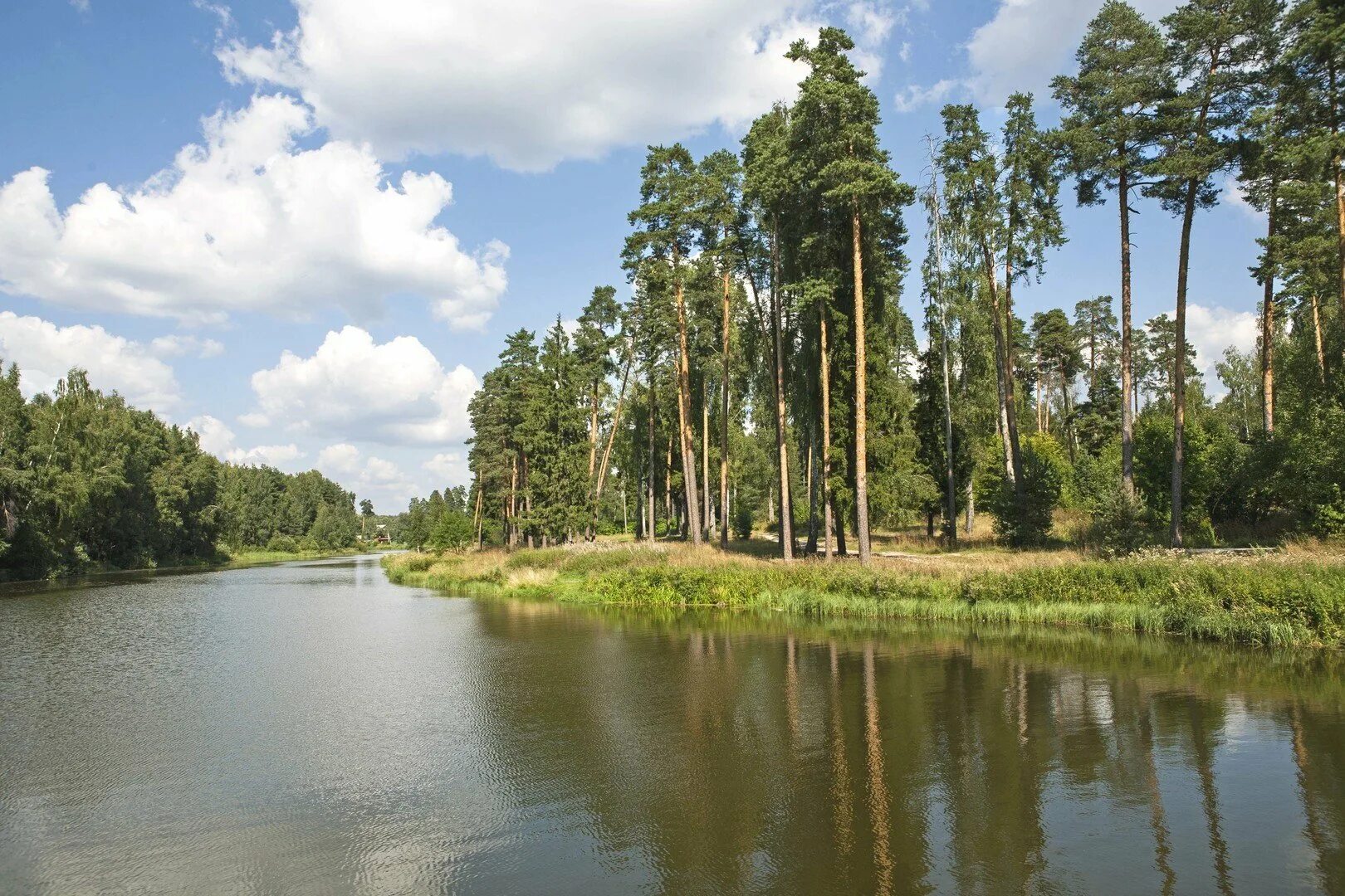 лосиный остров национальный парк москва. национальный парк «лосиный остров» город королев. корабельная роща нижнекамск. лосиный остров в королеве. лосиный парк королев.