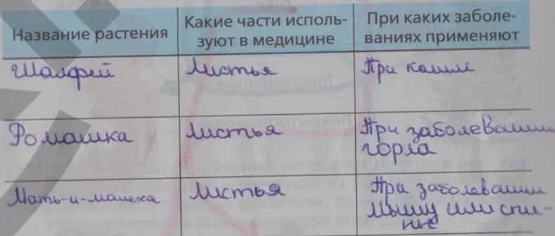 Заполни таблицу значение животных. Лекарственные растения моей местности таблица. используя дополнительные источники информации заполните таблицу. используя материал учебника и дополнительные источники информации. составь таблицу лекарственные растения вашей местности.
