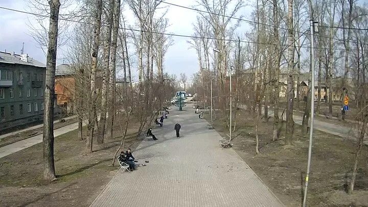Веб камера площадь калинина. Улица сибиряков гвардейцев новосибирск. Золотая нива новосибирск. Камеры в лесопарках. Веб камера новосибирск.