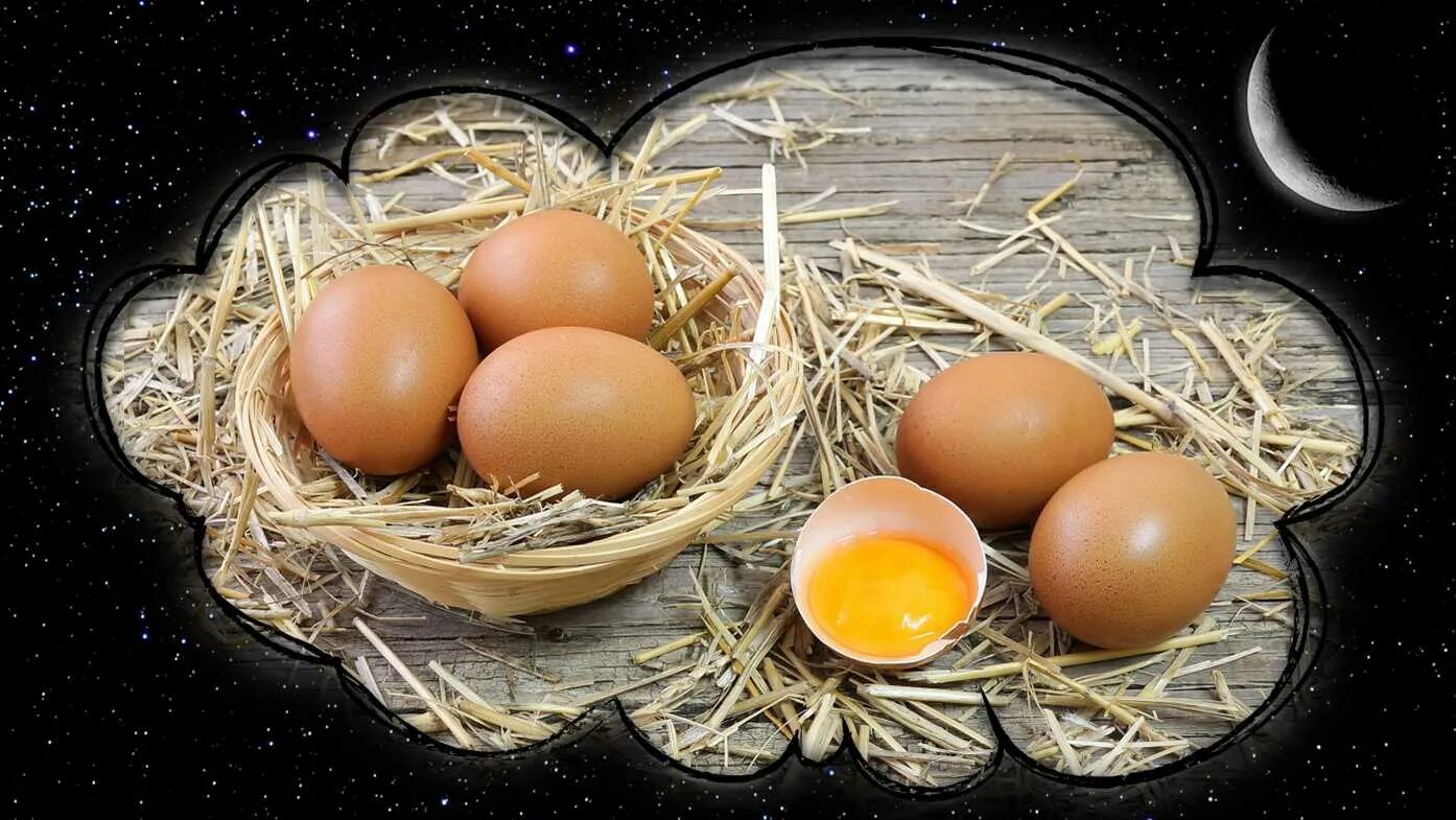 Много яиц. Приснились куриные яйца. К чему снится яйцо куриное вареное. Приснились яйца. Видеть во сне большое яйцо.