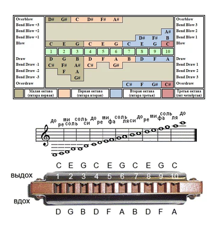 Табы для губной гармошки для начинающих для начинающих. Табы для губной гармошки 10 отверстий. Губная гармошка 10 отверстий Ноты. Игра на гармонике