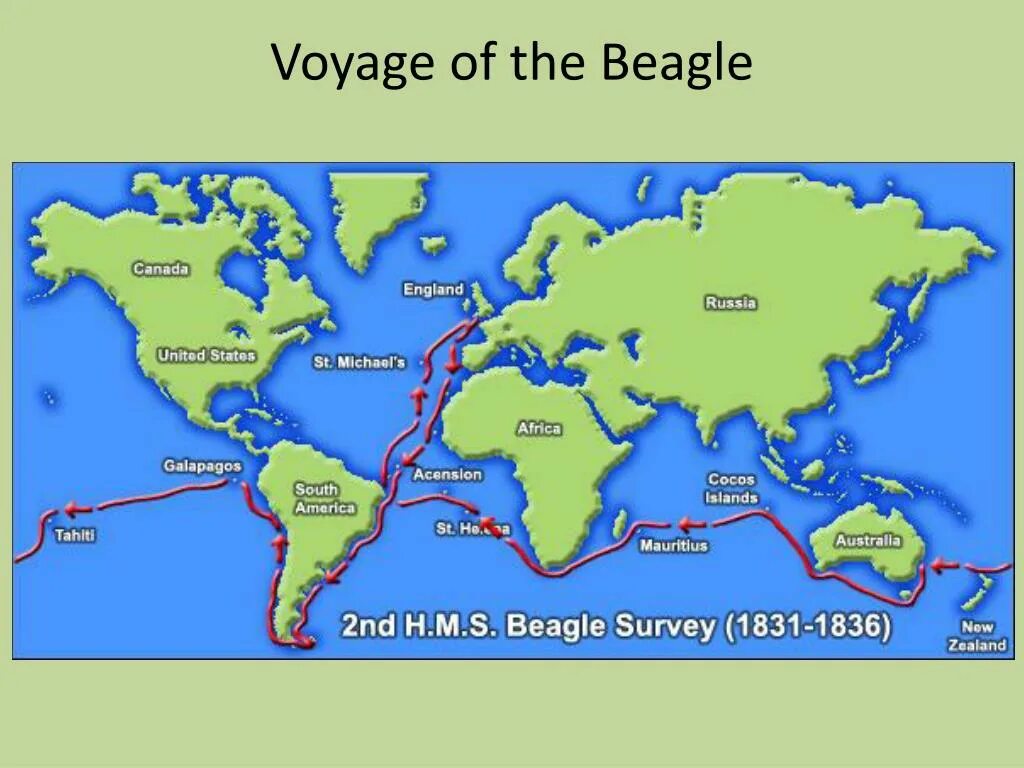 Кругосветное путешествие австралия. Кругосветное путешествие Чарльза Дарвина. Кругосветное путешествие Чарльза Дарвина карта. Маршрут путешествия Дарвина на корабле Бигль.