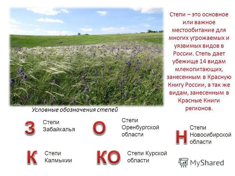 тема стихотворения степь