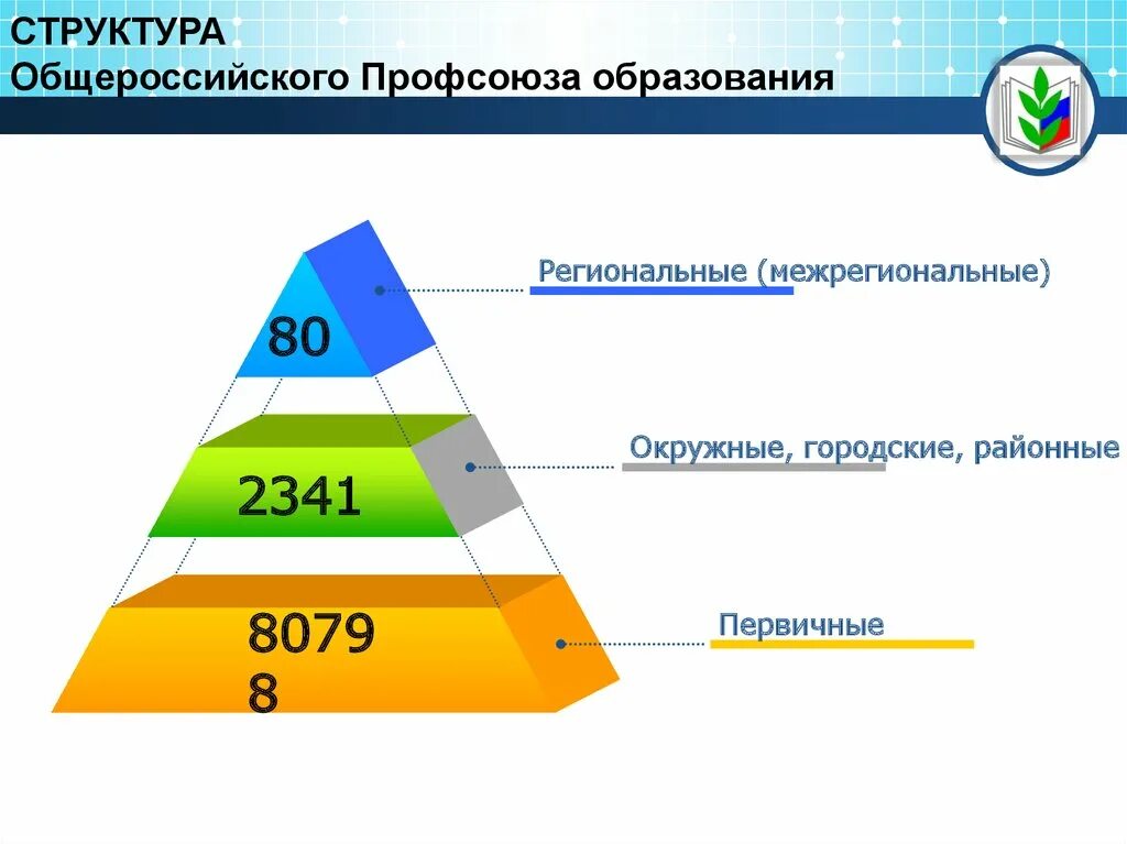 Региональные и межрегиональные организации. Структура Общероссийского профсоюза. Иерархия профсоюзов. Структура профсоюза образования. Структура профессиональных союзов.