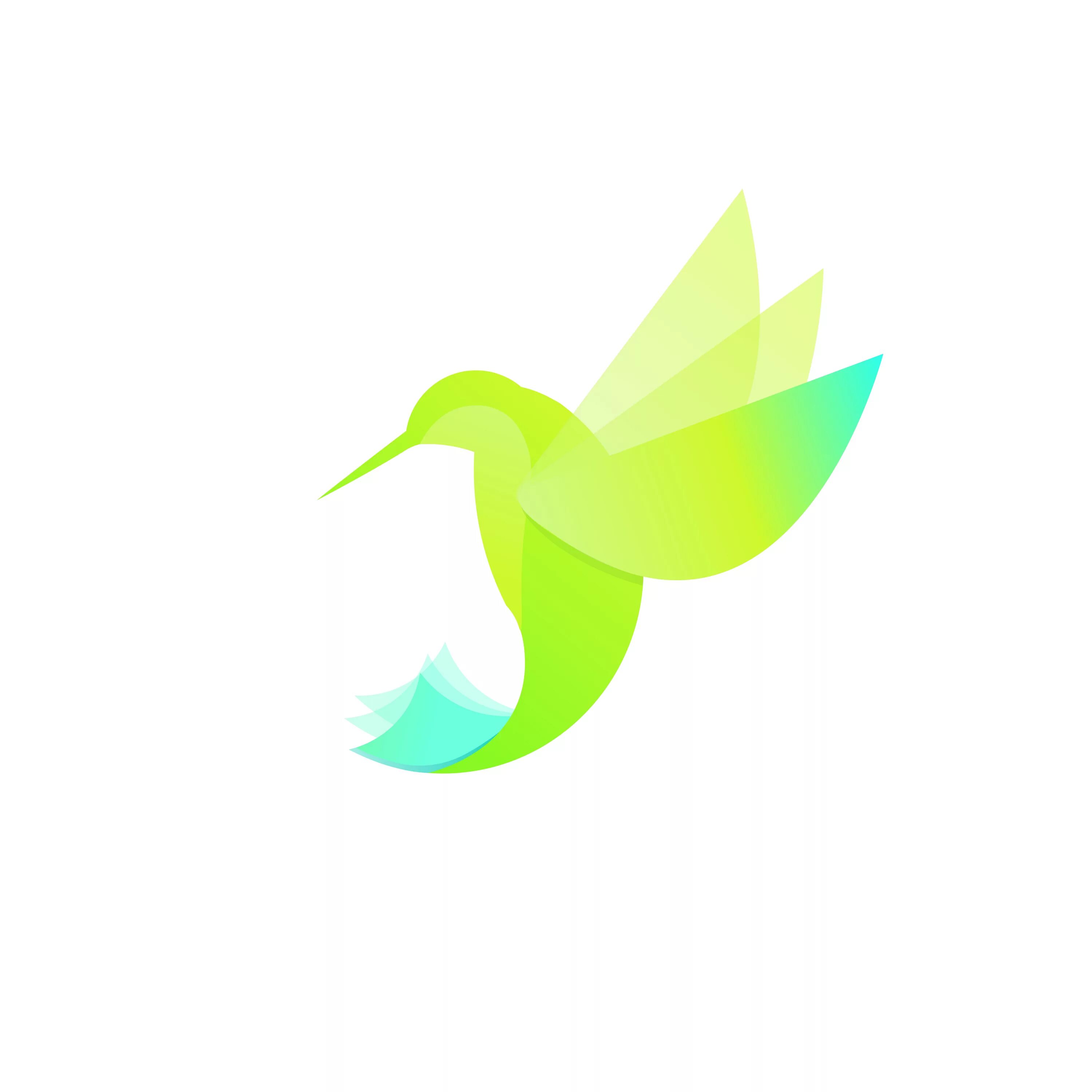 Колибри логотип. Колибри вектор. Логотип с птицей Колибри. Логотип Колибри на прозрачном фоне.